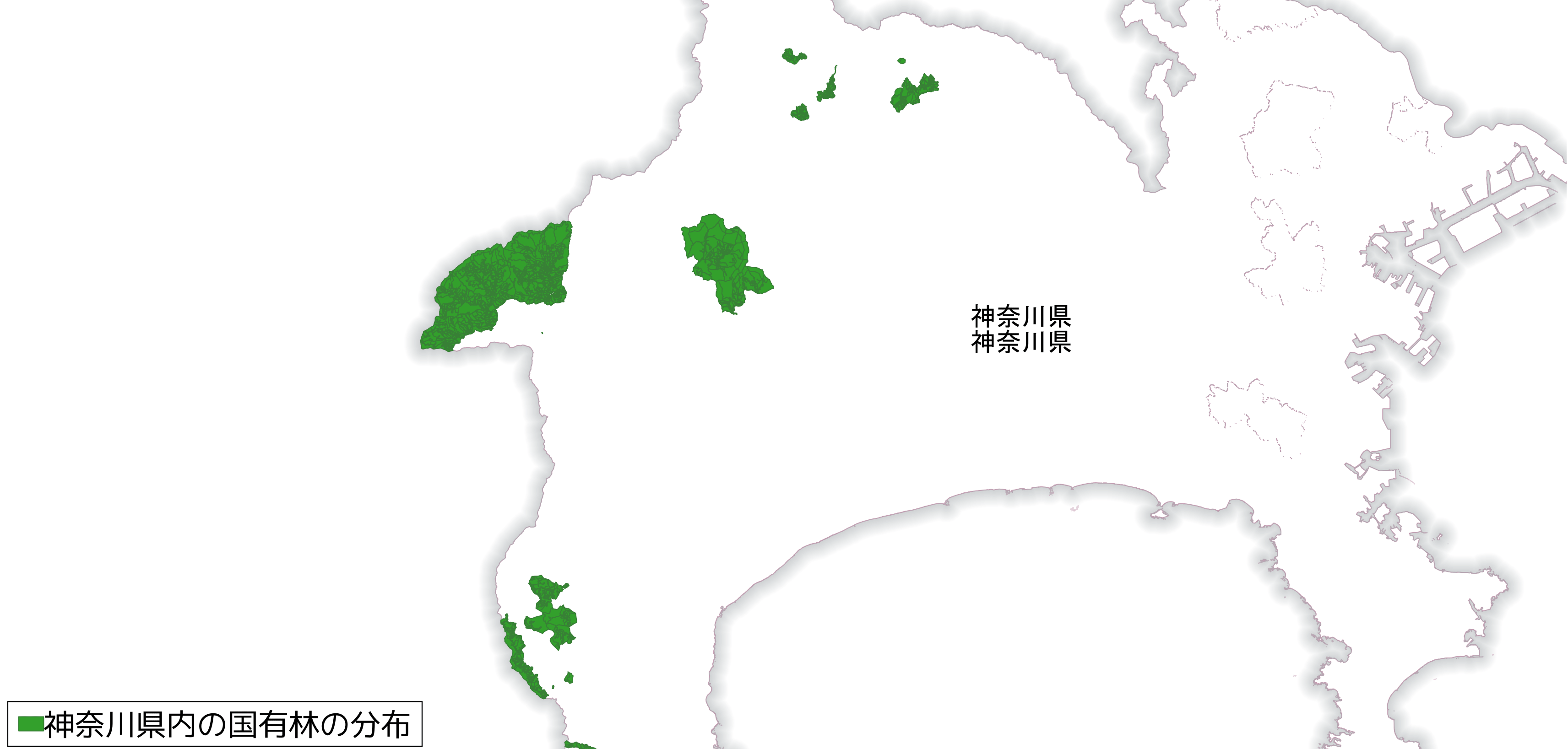 ココニーノ国有林 アリゾナ州セドナ：ロードトリップの究極の立ち寄り先 | Visit the